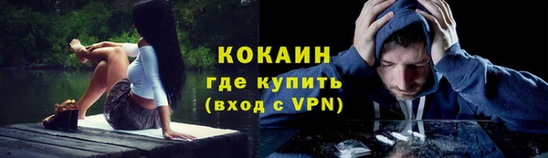 шишки Пересвет