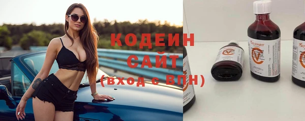 шишки Пересвет