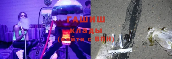шишки Пересвет