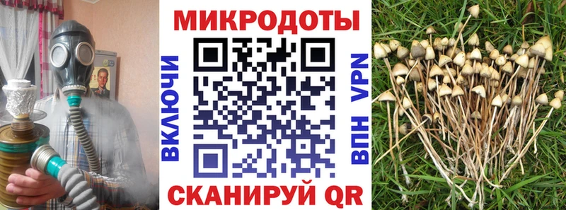 цены наркотик  Островной  Галлюциногенные грибы MAGIC MUSHROOMS 